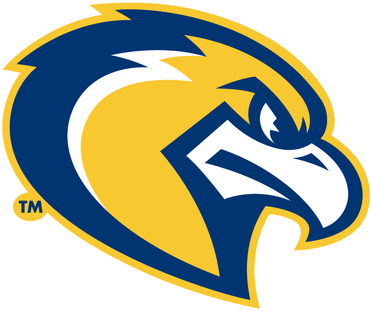 Marquette Golden Eagles 2005-Pres Alternate Logo diy DTF decal sticker